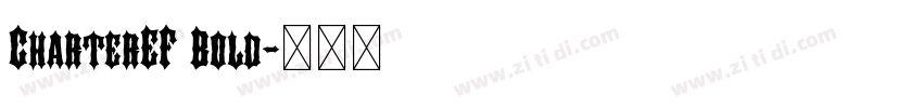 CharterEF Bold字体转换 CharterEF Bold字体转换